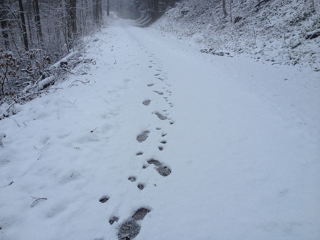 winter walking alone